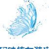 衣见钟情