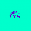 Y S