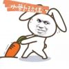小萝卜玩偶