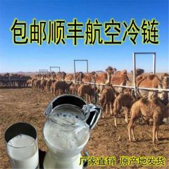 新疆伊犁骆驼奶
