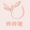 哔哔猪的jk店