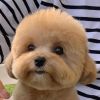 洪州小炒王